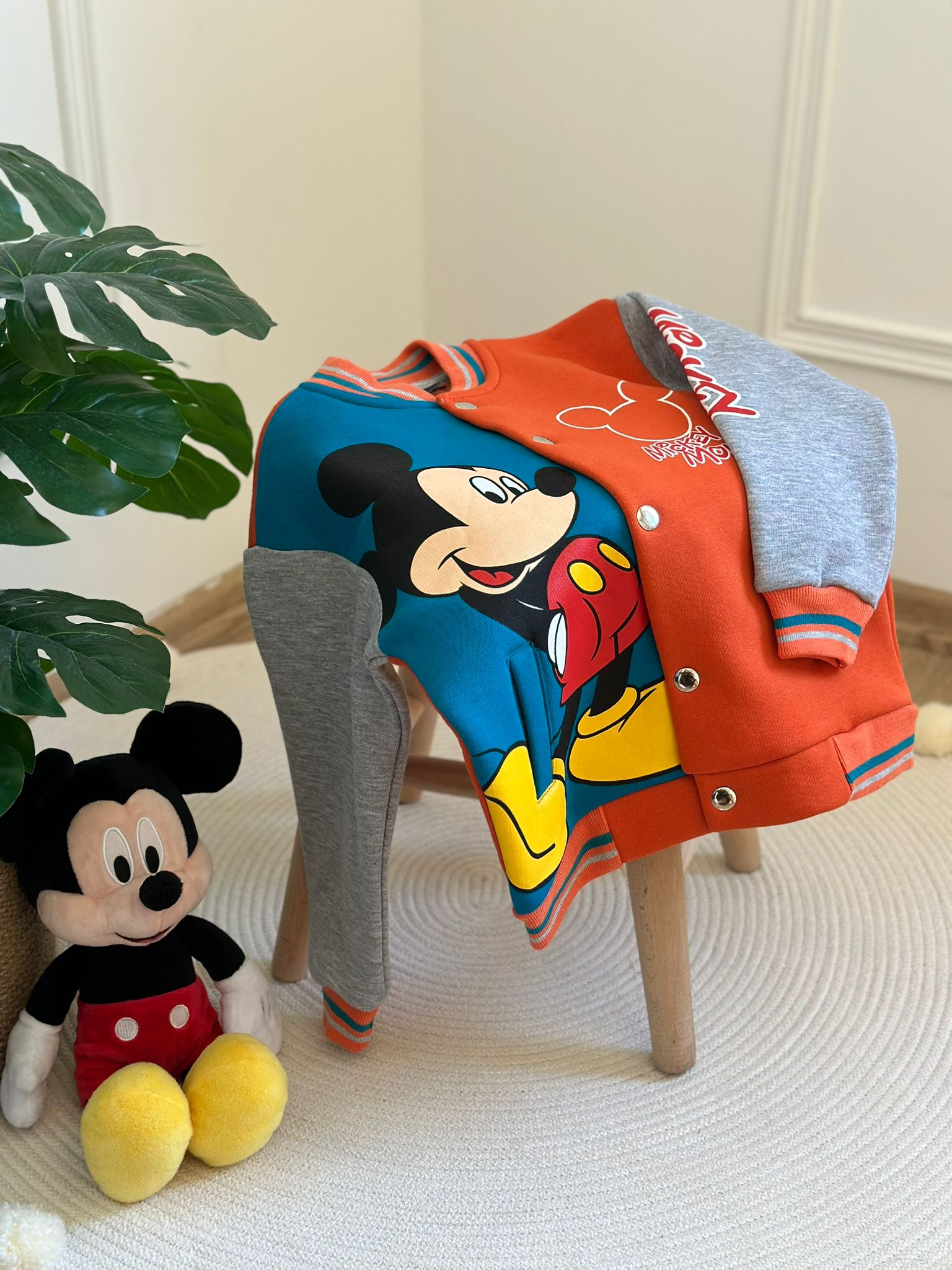 Renkli Mickey Mouse Kolej Montu