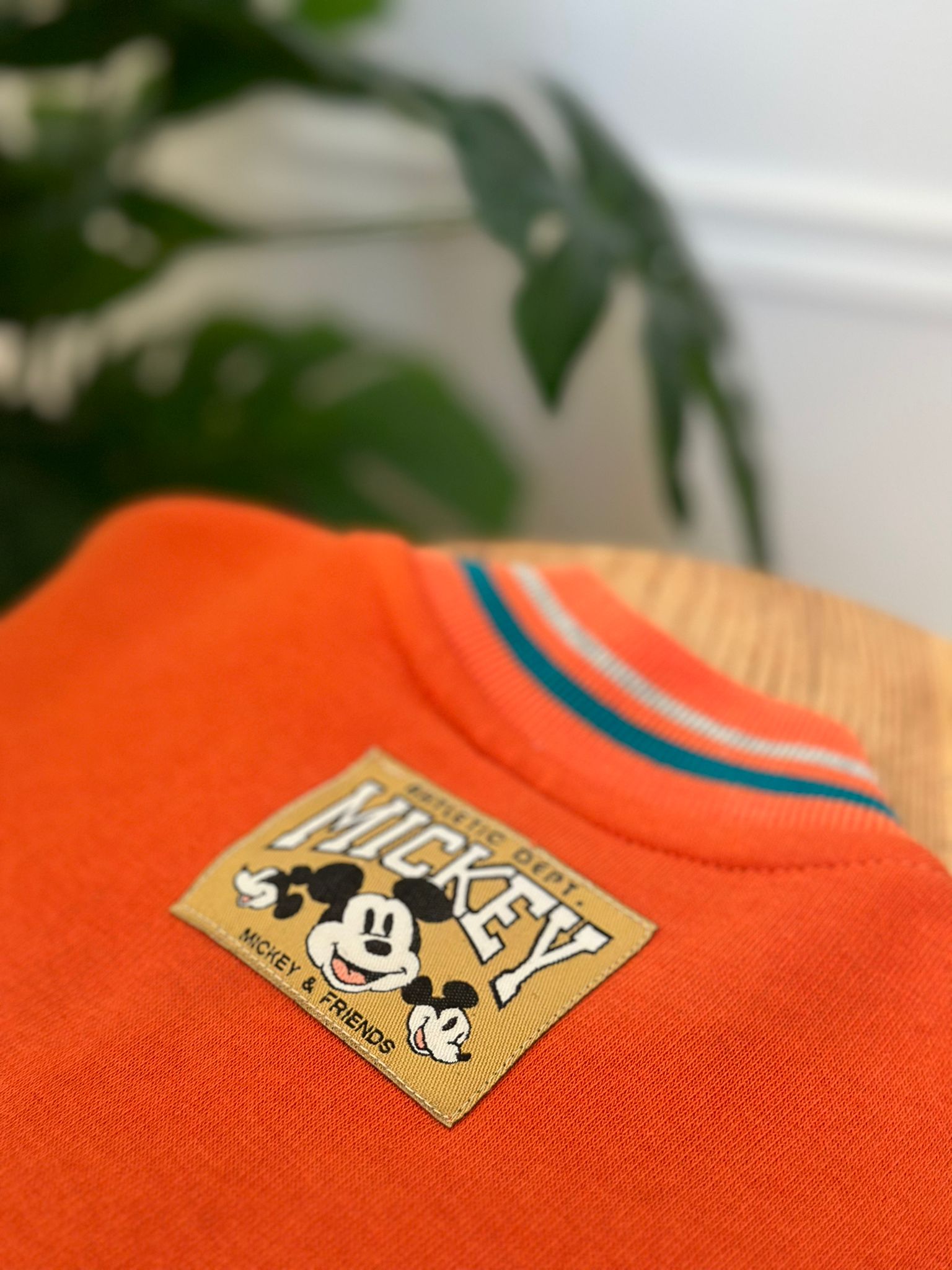 Renkli Mickey Mouse Kolej Montu