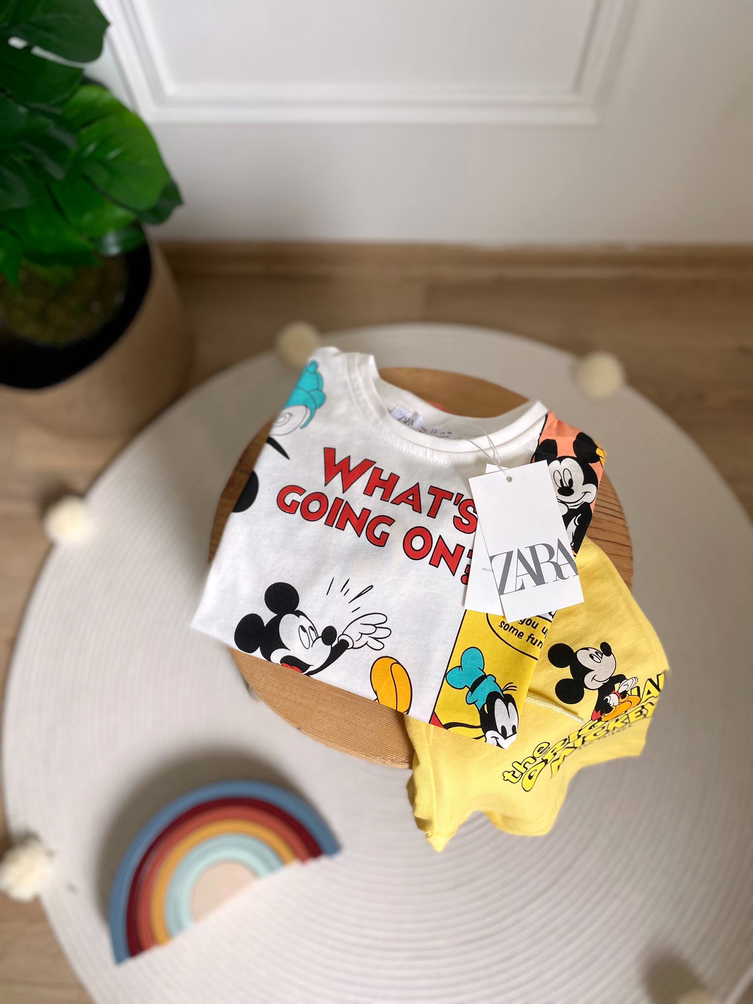 Mickey Mouse ve Arkadaşları Erkek Çocuk Takımı