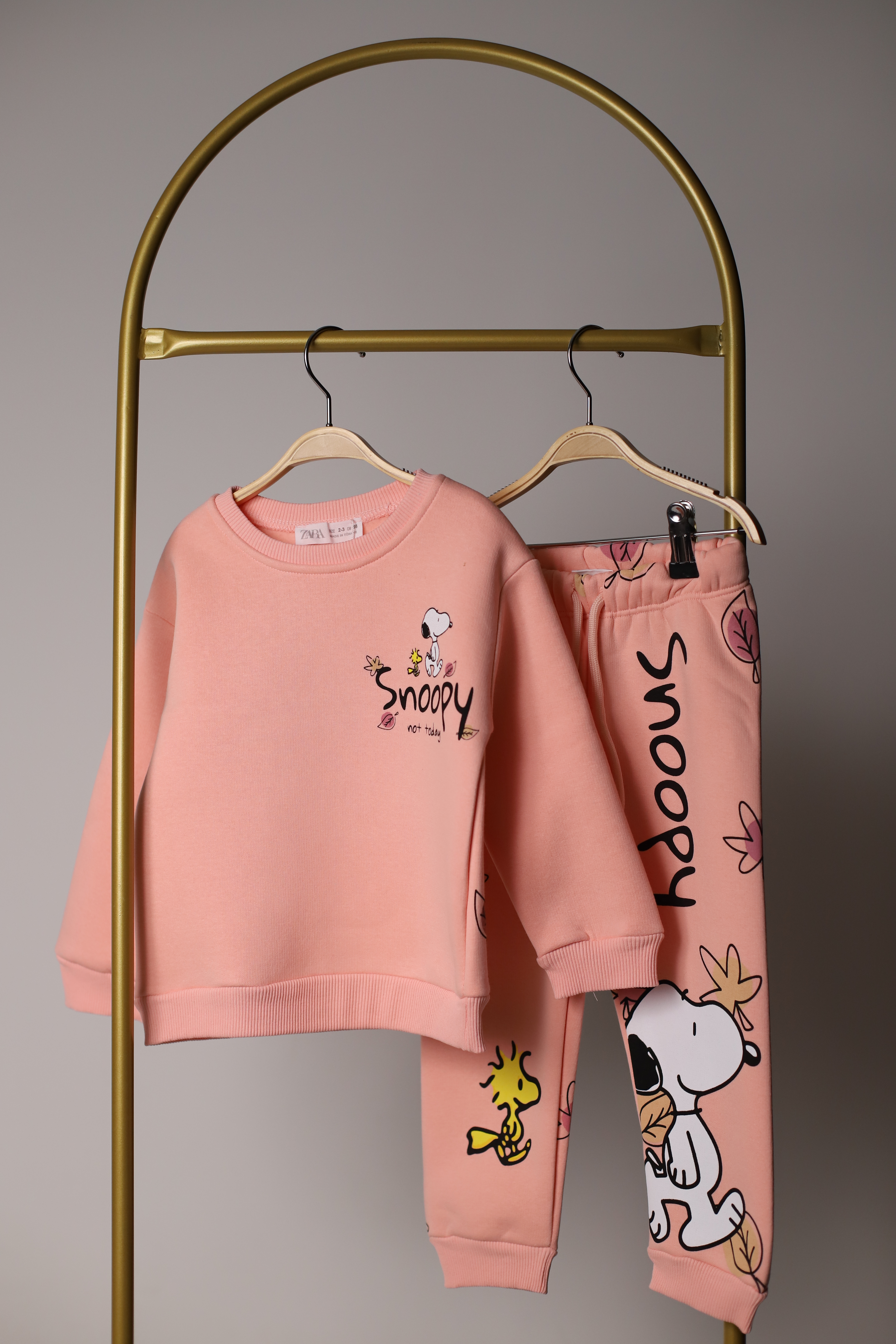 Pembe Snoopy Sonbahar Sırt Baskılı Eşofman Takımı