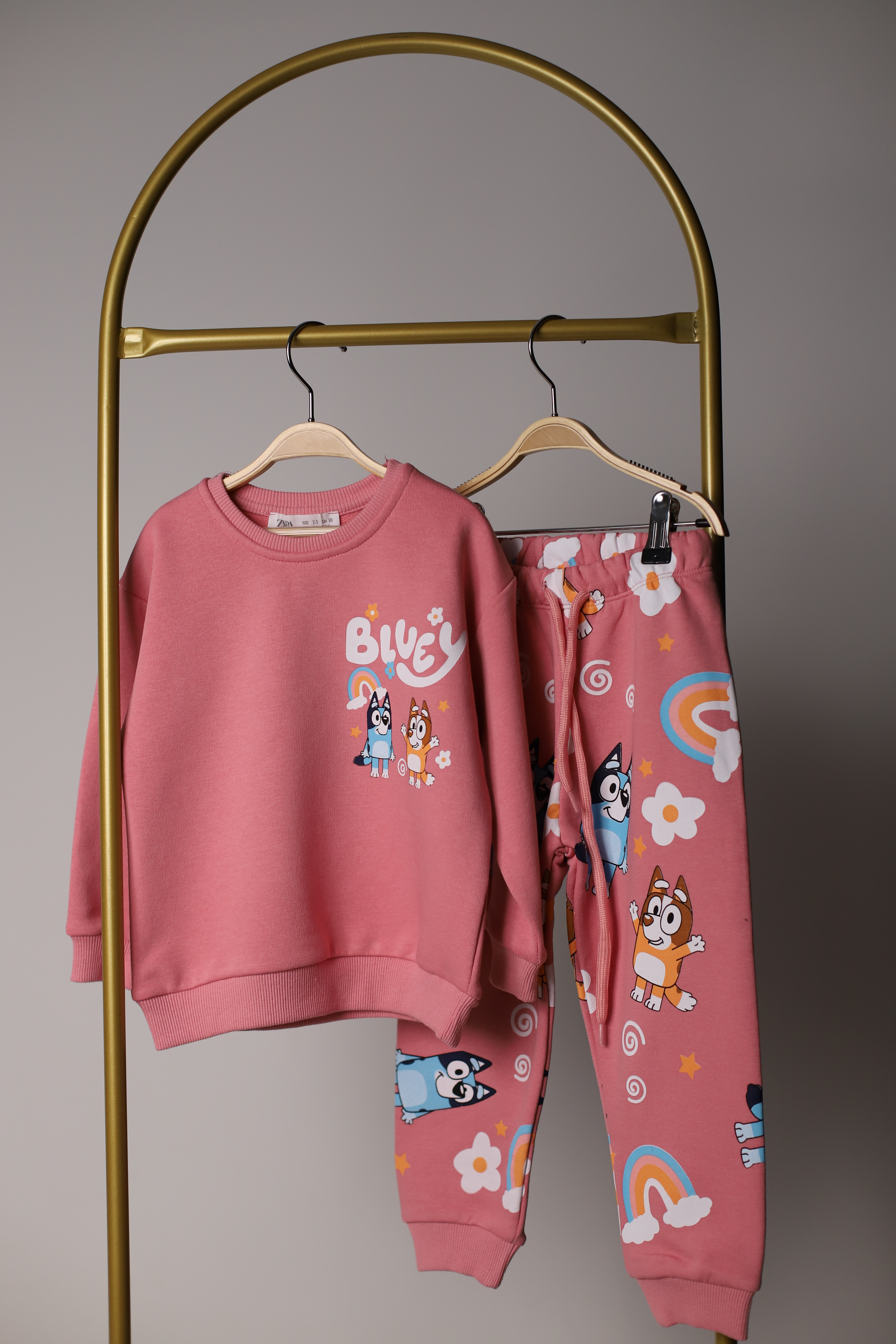 Pembe Bluey Renkli Baskılı Eşofman Takımı