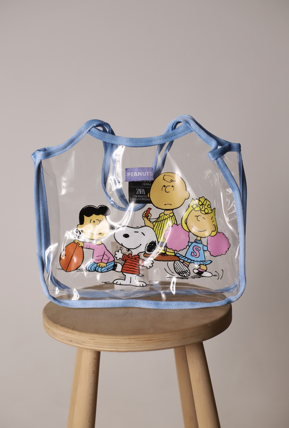 Şeffaf Peanuts Plaj Çantası