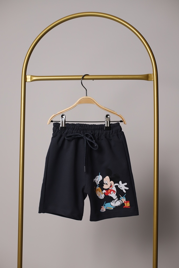 Ressam Mickey Mouse Baskılı Erkek Çocuk Takımı