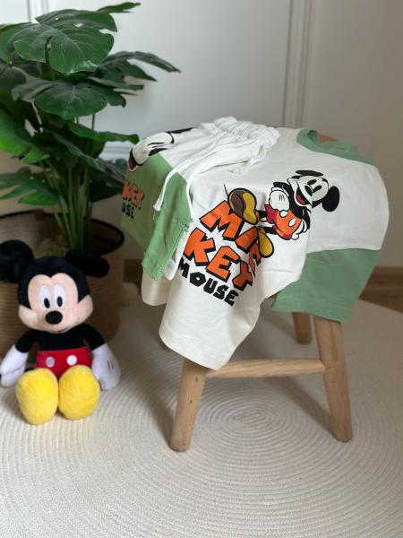 Renkli Kol Detaylı Mickey Şortlu Takım