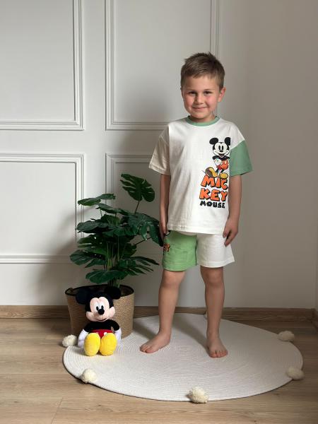 Renkli Kol Detaylı Mickey Şortlu Takım