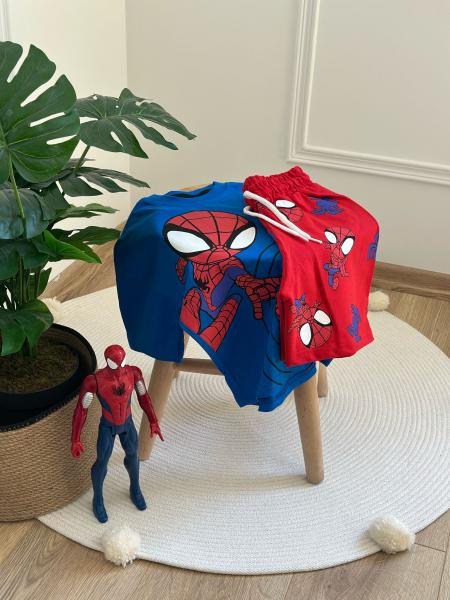 Spiderman Animasyon Figür Şortlu Takım