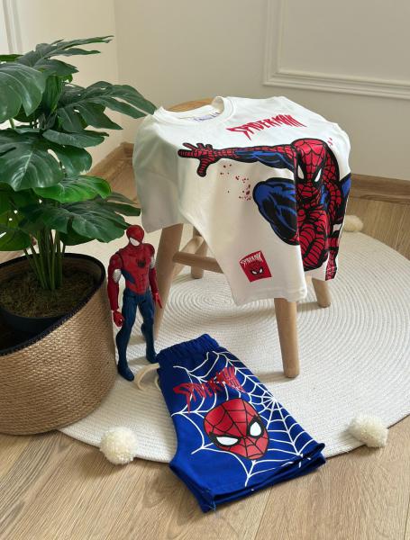 Mavi Spiderman Şortlu Takım