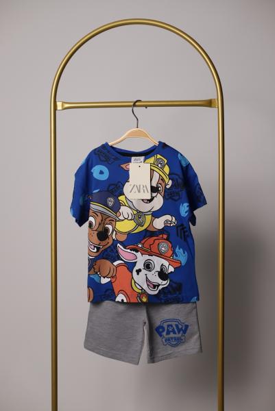 Mavi Paw Patrol Baskılı Gri Şortlu Erkek Çocuk Takımı