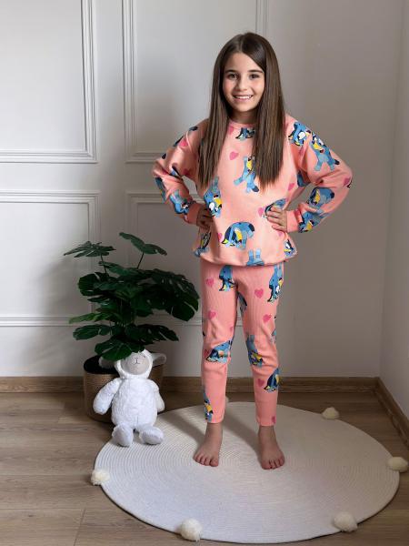 Pembe Bluey Figürlü Taytlı Takım